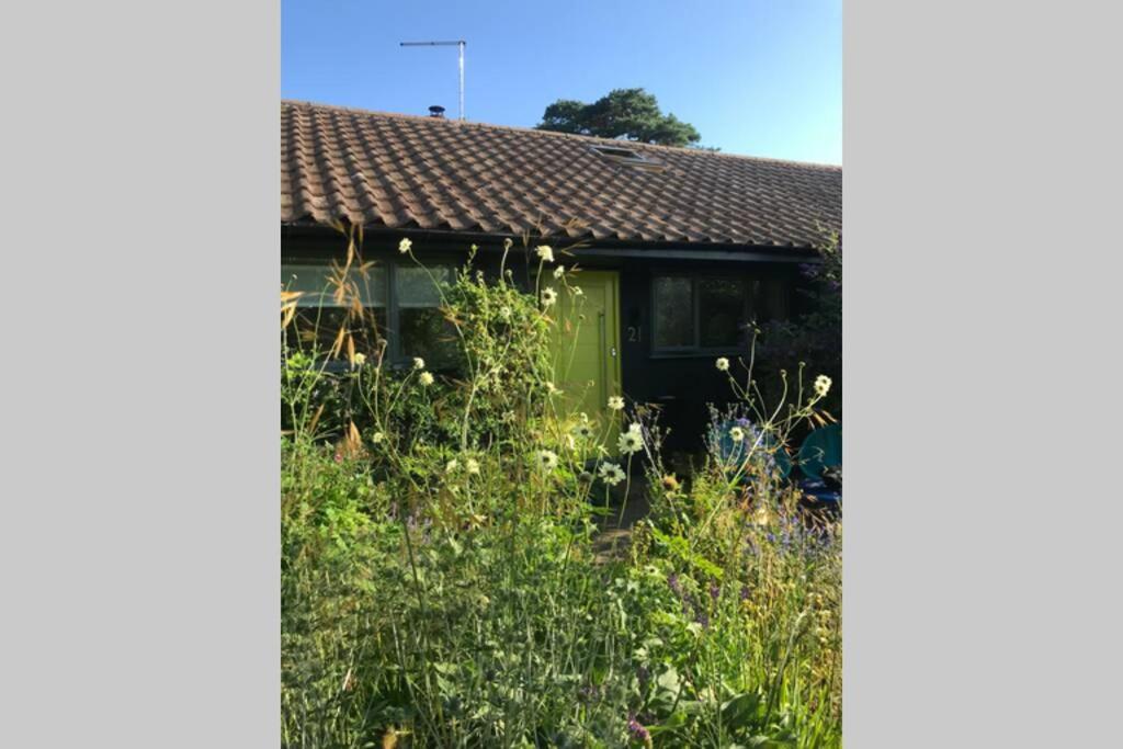 The Yellow Door Whitstable - Peaceful Retreat Close To Beach Екстер'єр фото
